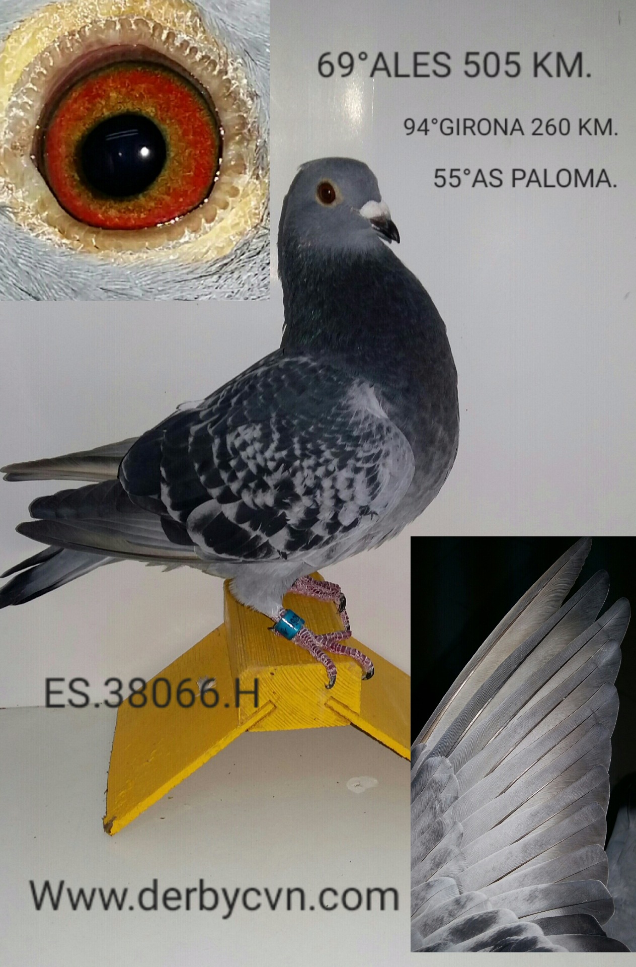 Día 4/11/2016, la 38066 comprada por Rafael Lisón, de Castellón