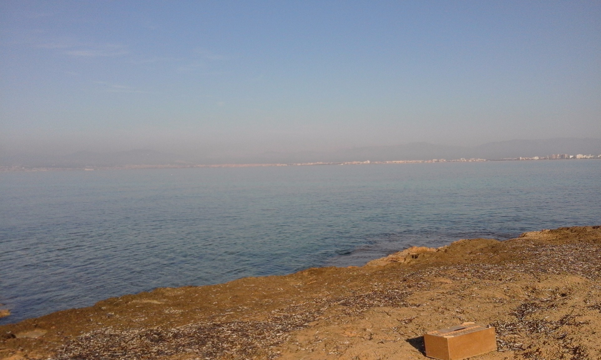 30.12.2015 Cala Blava